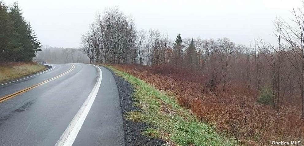 0 State Highway 10 - Photo 1