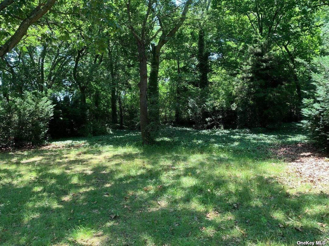 2328 Hudson Street - Photo 1