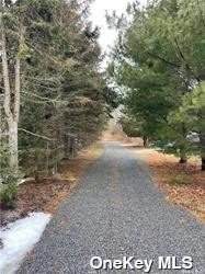 4600 Route 25 - Photo 1