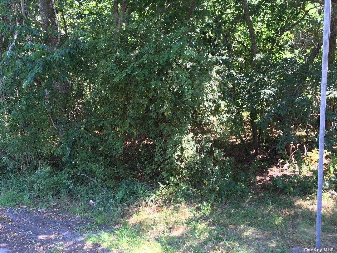 Wavecreast Drive - Photo 1