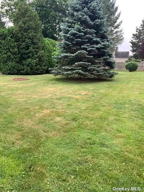 Dawes Avenue - Photo 1