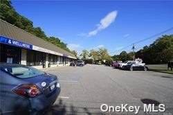 1041 Jericho Turnpike - Photo 1