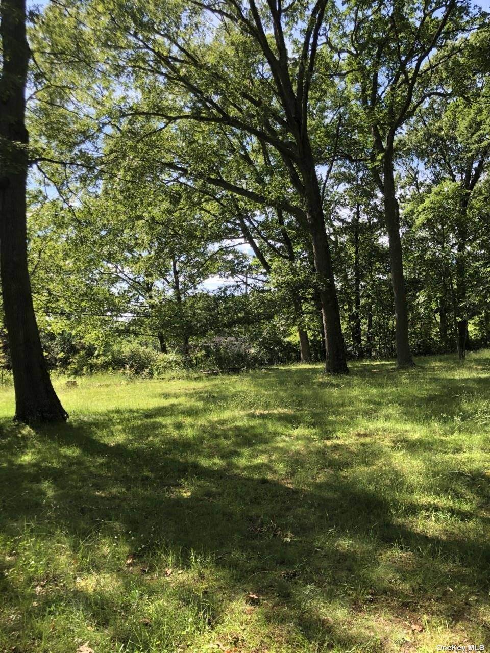 Eatons Neck Road - Photo 1