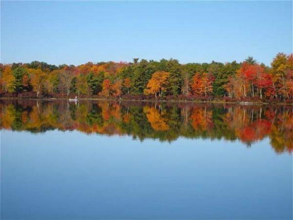 Black Lake Road - Photo 1