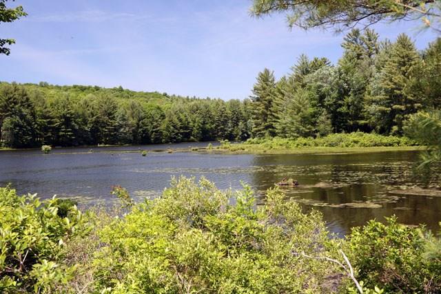 (3.5) Swamp Pond Road - Photo 1