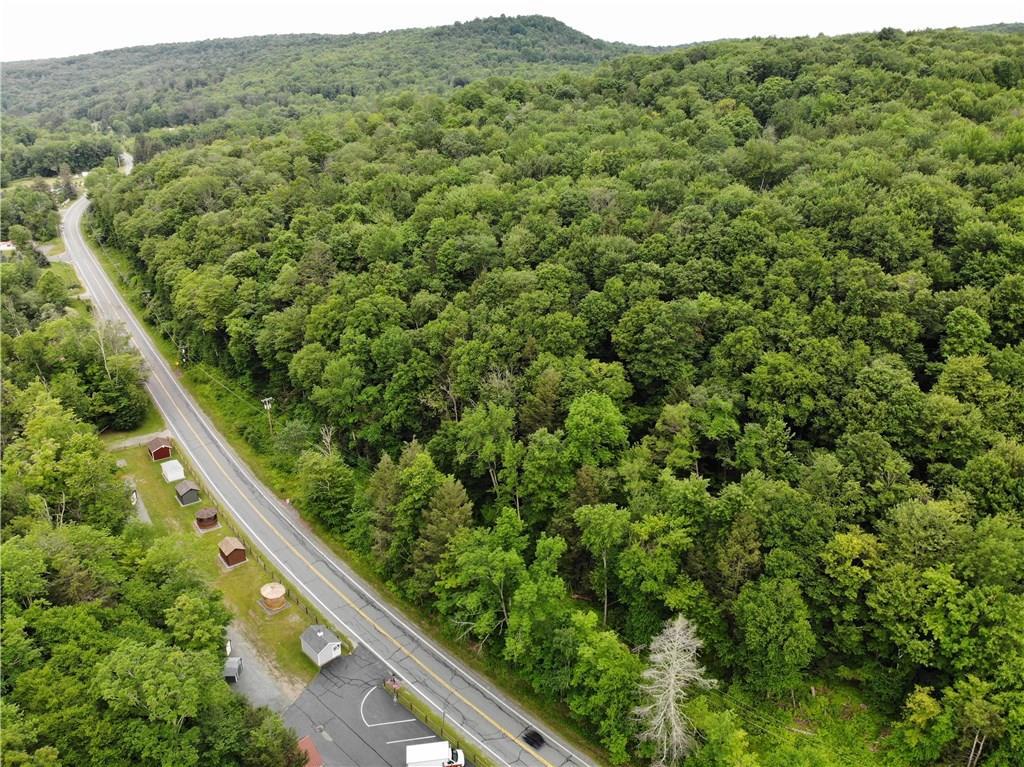 (Lot 1) State Route 55 - Photo 1