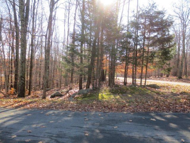 Lake Joseph Road - Photo 1