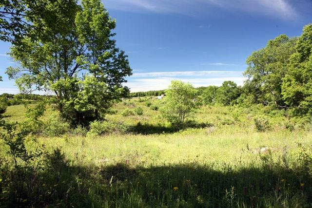 TBD Delaware Drive - Photo 1