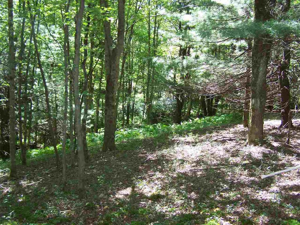 Hurd Road - Photo 1