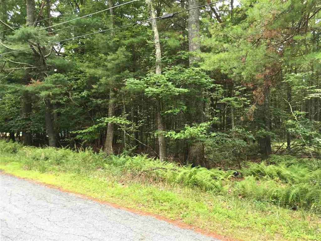 Lot 33 White Road - Photo 1