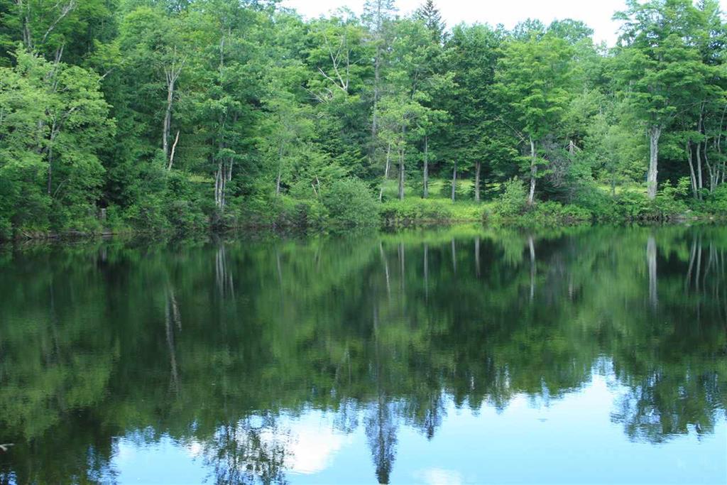0 Pearl Lake Road - Photo 1