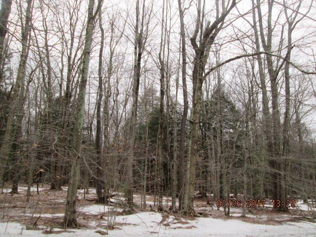 Tuttle Hill Road - Photo 1