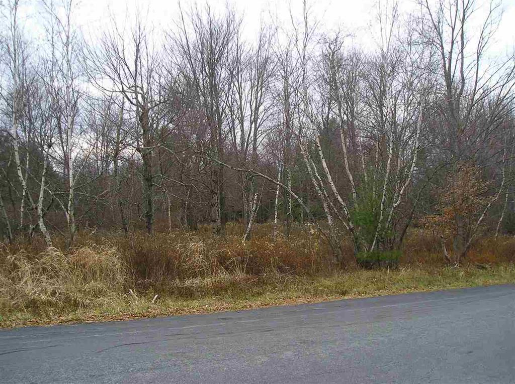 Lot 3 Hamilton Road - Photo 1