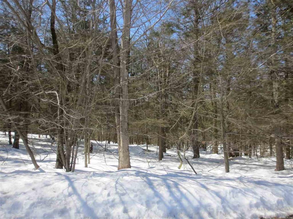 lot 24 Manor Drive - Photo 1