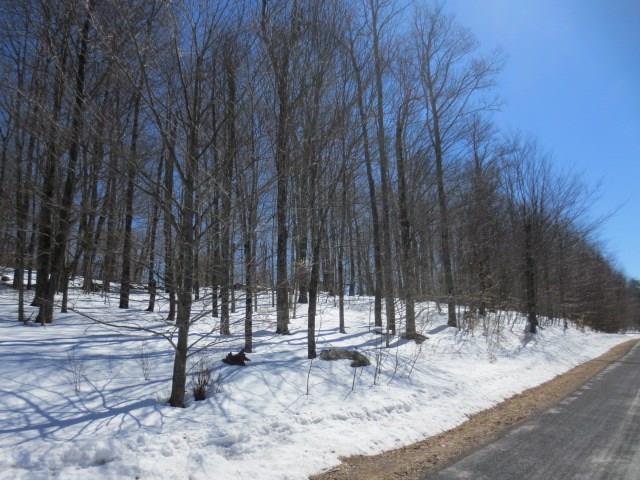 Lot 22 Shirley Drive - Photo 1