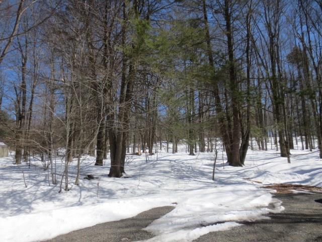 Lot 9 Sheldon Lane - Photo 1