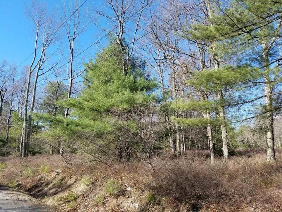23.8 Kalin Weber Road - Photo 1