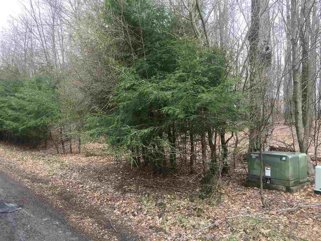 TBD Nature Lake Road - Photo 1