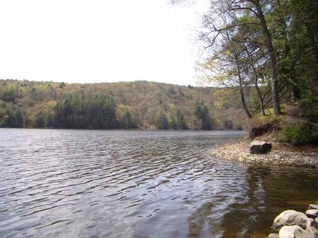Lot #3 Old Plank Road - Photo 1