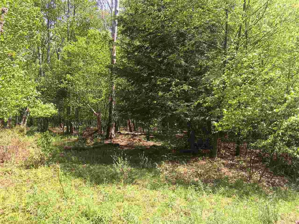 TBD Nature Lake Road - Photo 1
