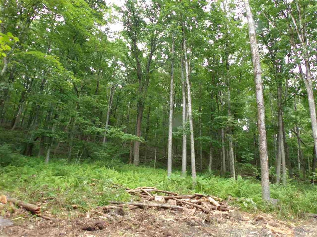 121 Cushetunk Drive - Photo 1