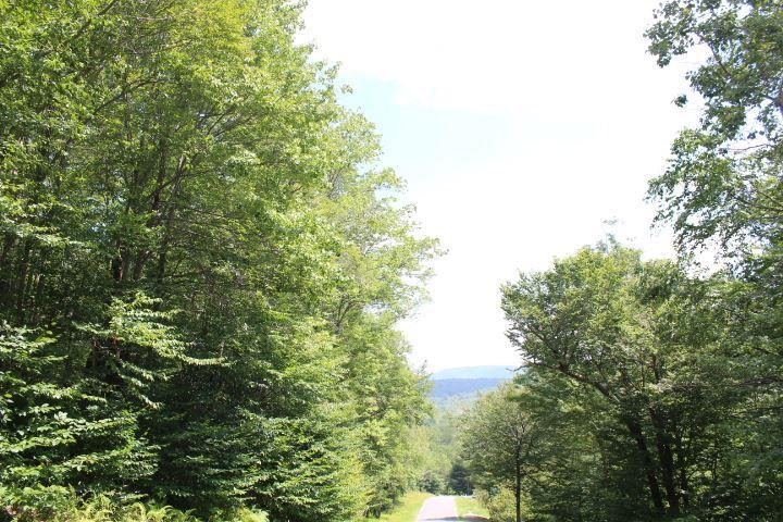 4.1/2 Brown Settlement Road - Photo 1
