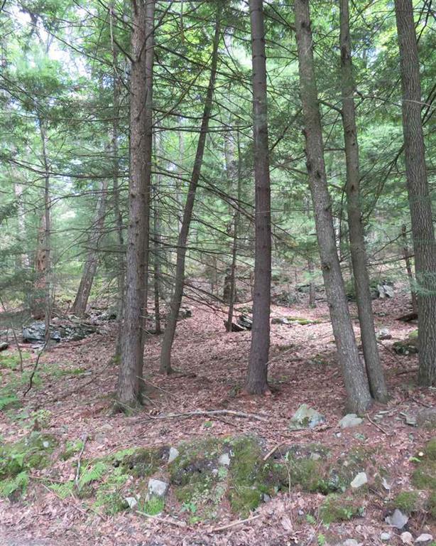 36 Upper Lumber Road - Photo 1