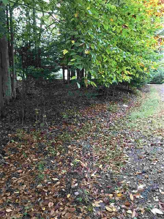 Fox Avenue - Photo 1