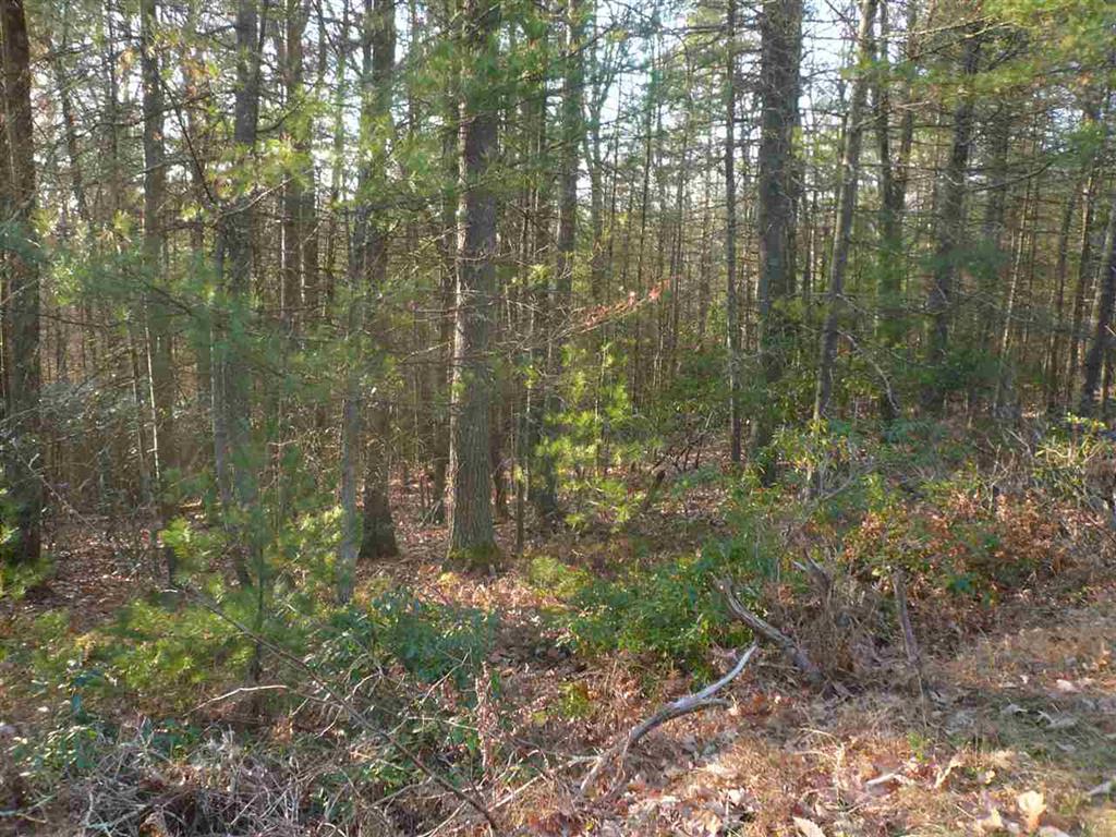 00 Town Rd. 49 (Cochecton Tpk) - Photo 1