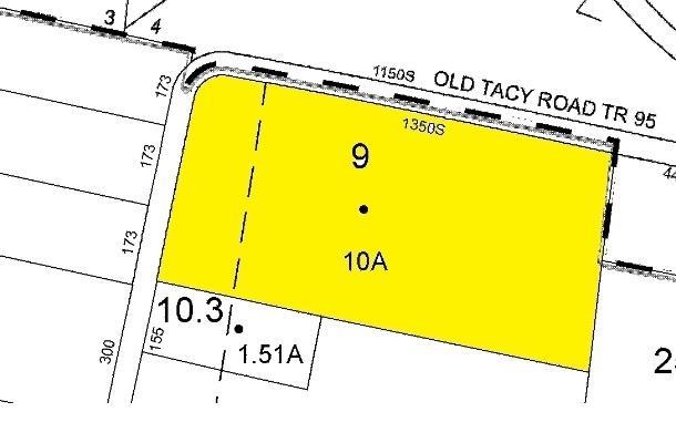 Lot 9 Old Tacy Road - Photo 1