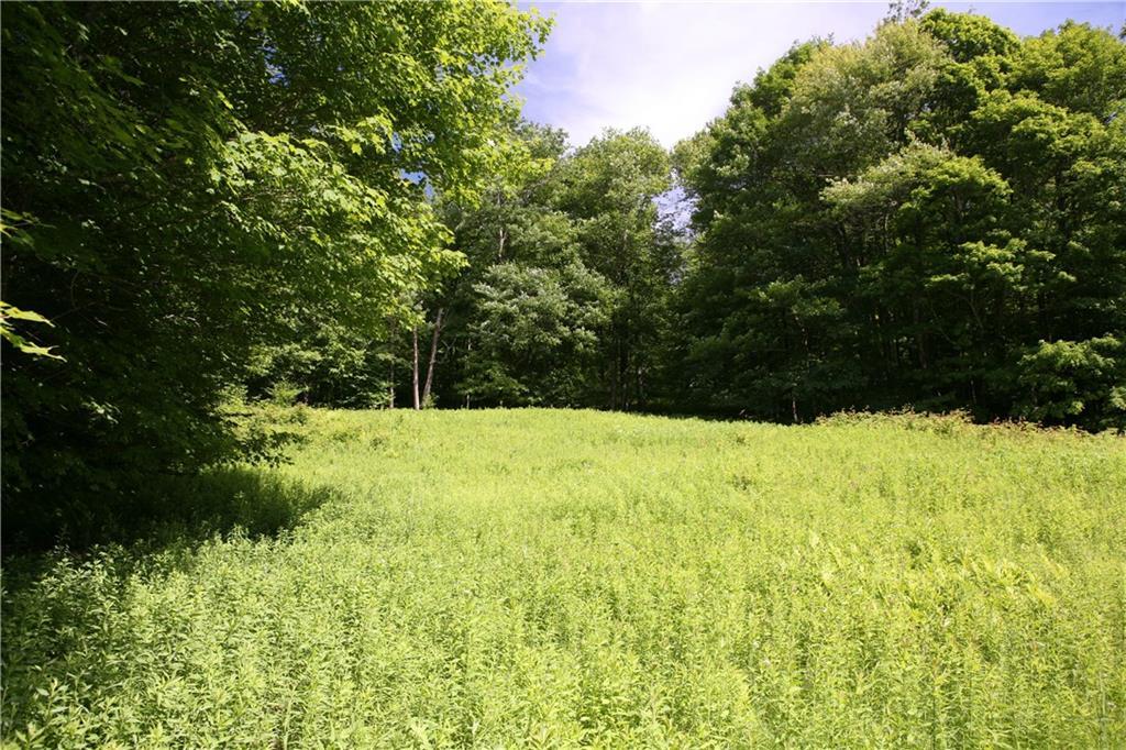 0 Rt 97 - Photo 1