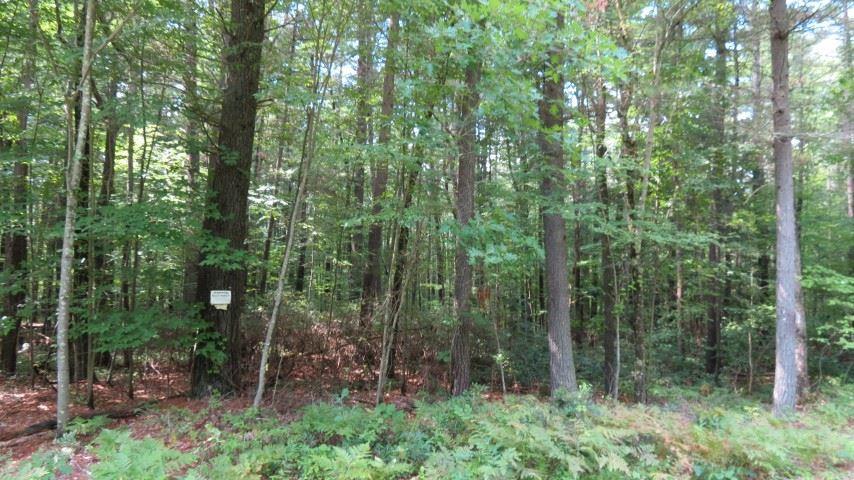 lot #8 Perry Pond Road - Photo 1