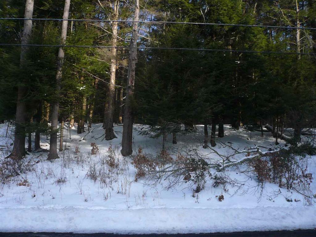 00 Old Dahlia Road - Photo 1