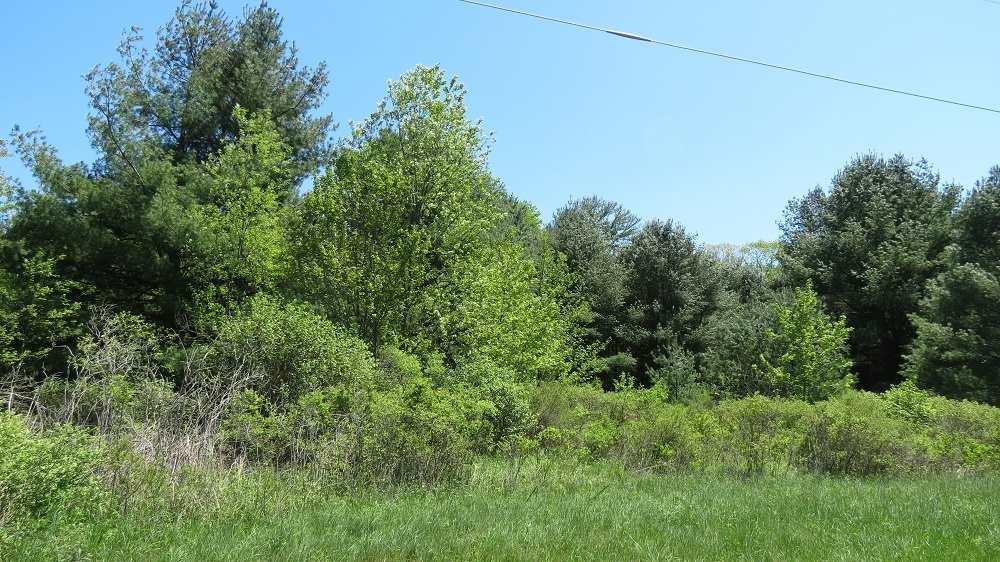 (46.2) Co Road 25 - Photo 1