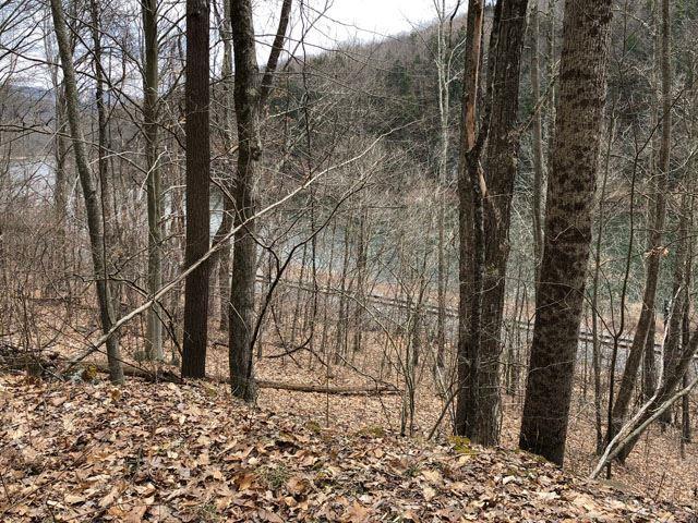 0 Bouchouxville Trail - Photo 1