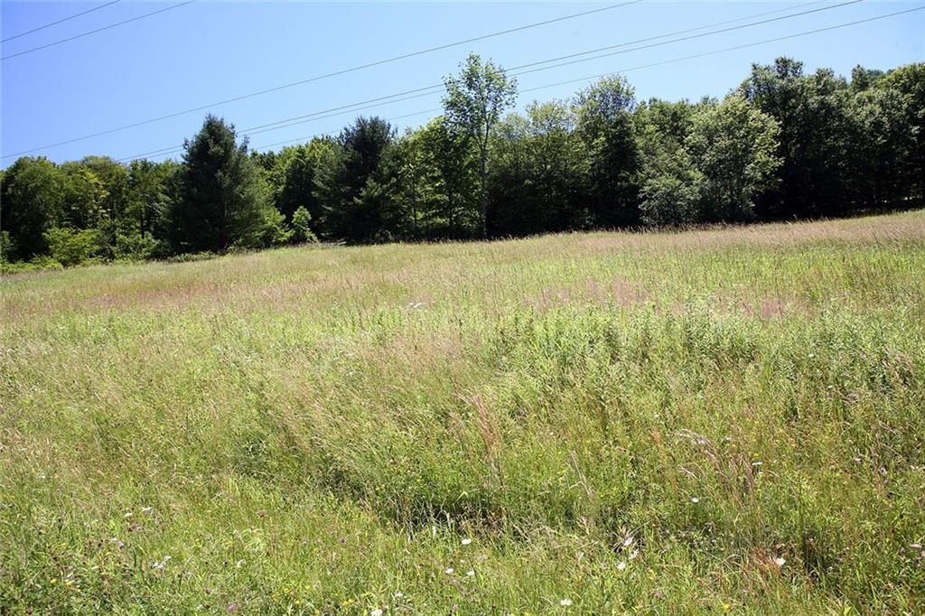 0 William Brown Road - Photo 1