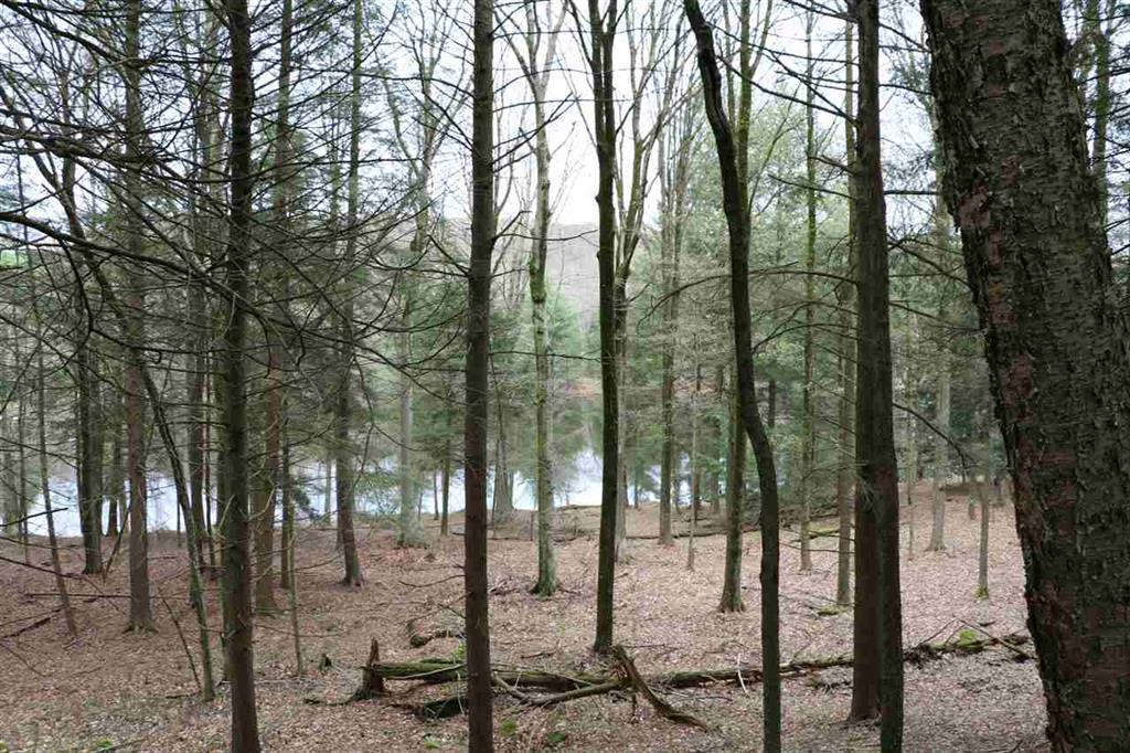Lot 9 Kenoza Trail - Photo 1