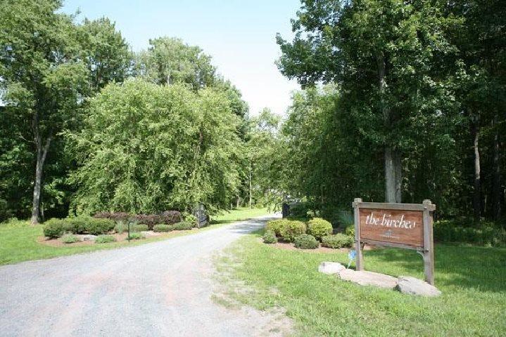 Lot 17 Silver Birch - Photo 1