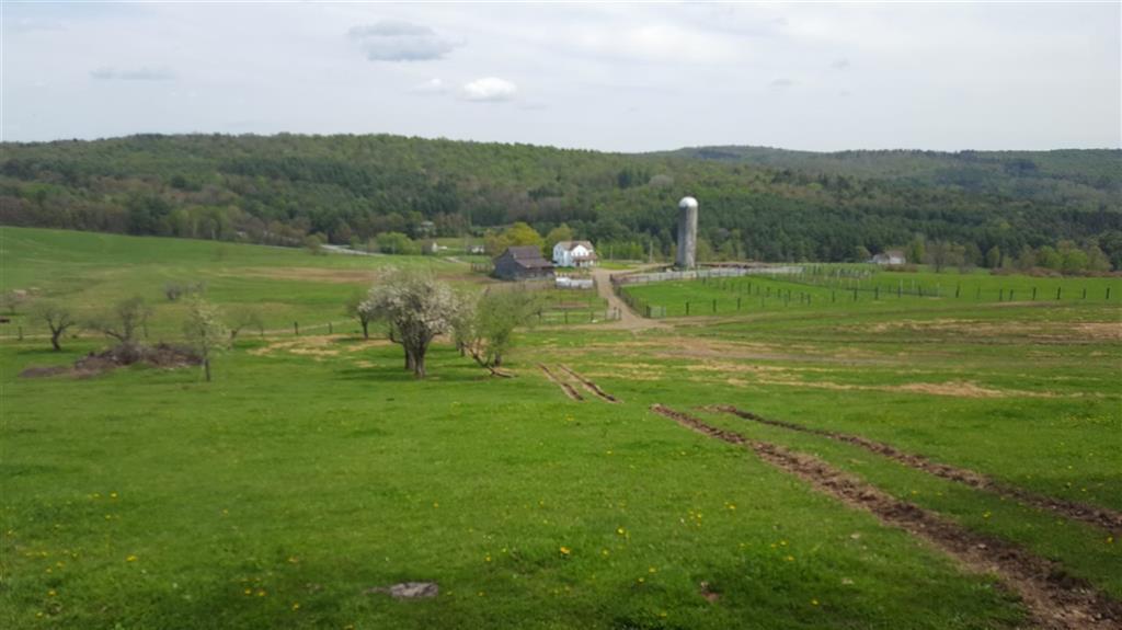 129 Fred Field Road - Photo 1