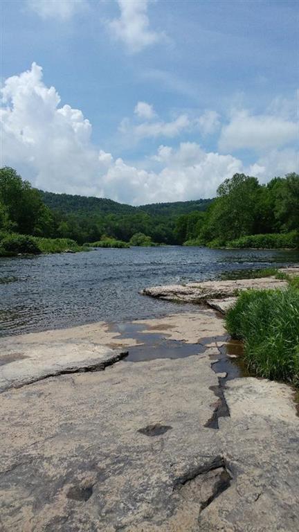 675 Old Route 17 - Photo 1