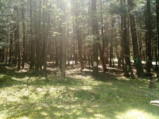 Lot 34 Bear Run - Photo 1