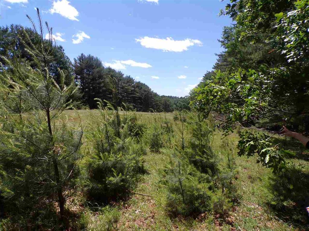 Mud Pond Road - Photo 1