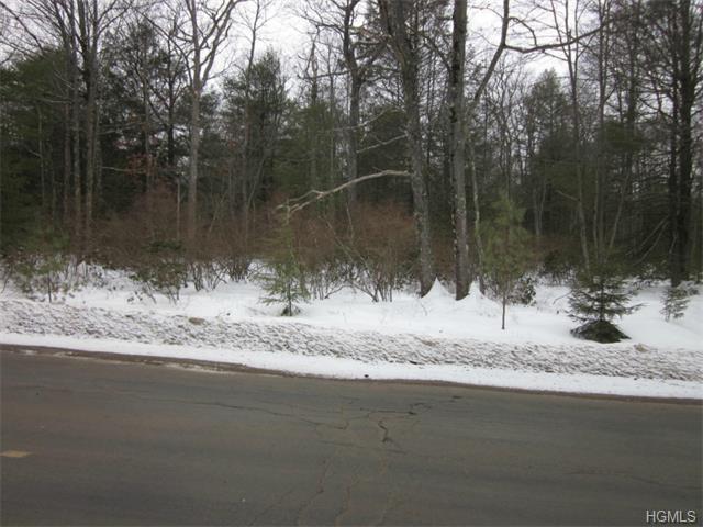 Forestburgh Road - Photo 1