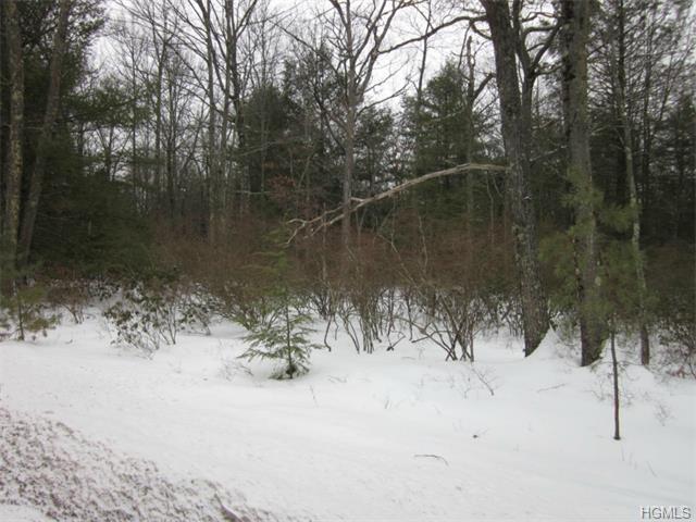 Forestburgh Road - Photo 1