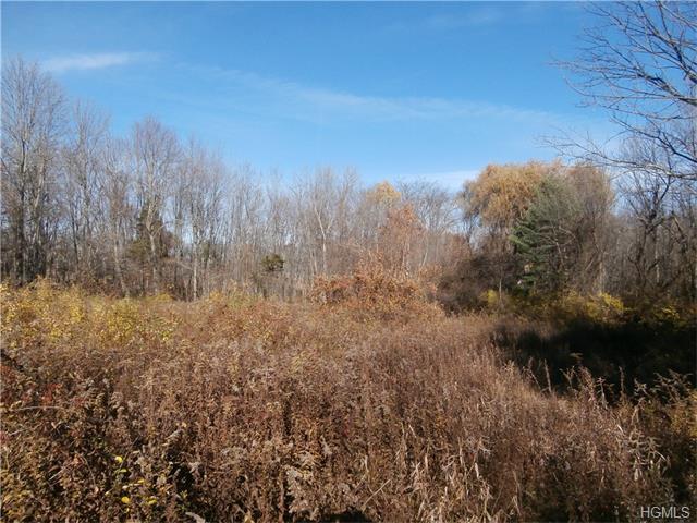 Route 52 Rear - Photo 1