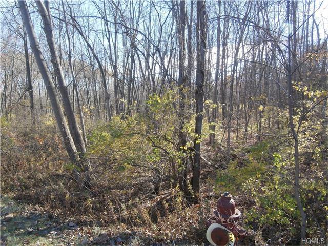 1784 Route 52 - Photo 1