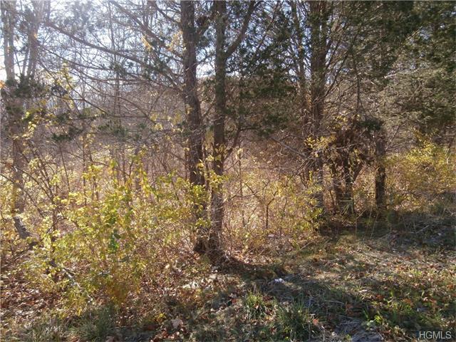 Route 52 (Formerly 1799) - Photo 1