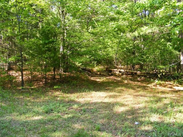 Lot #2 Red Hill Road, Wurtsboro, NY 12790 (MLS #4601946) :: William Raveis Legends Realty Group