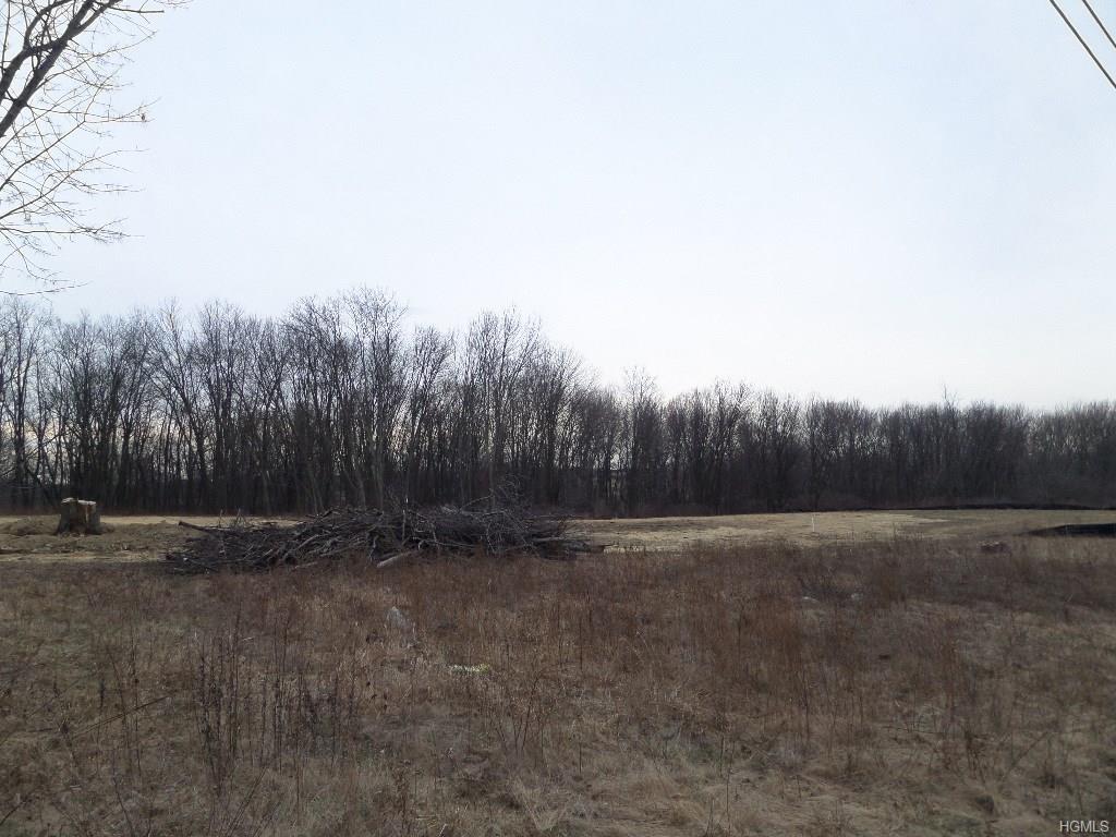 Int Canning & St Hwy 211 - Photo 1