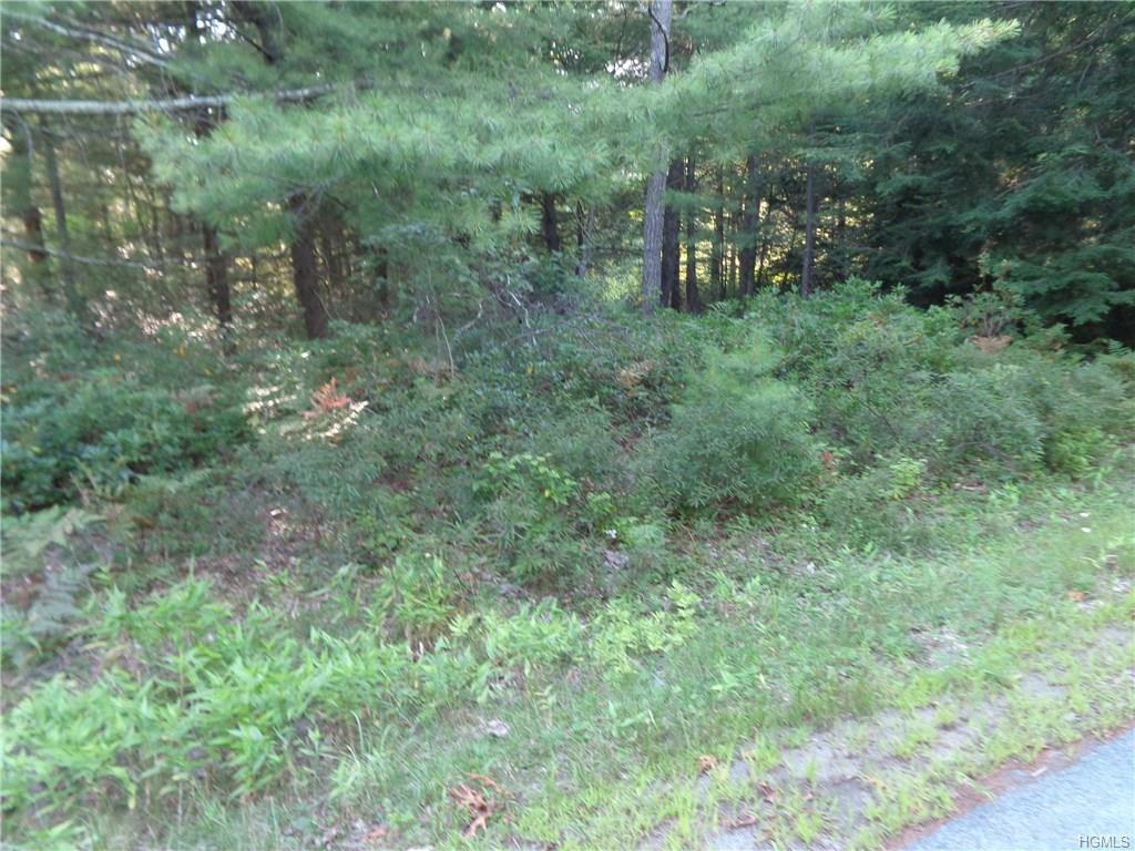 Lebanon Road - Photo 1